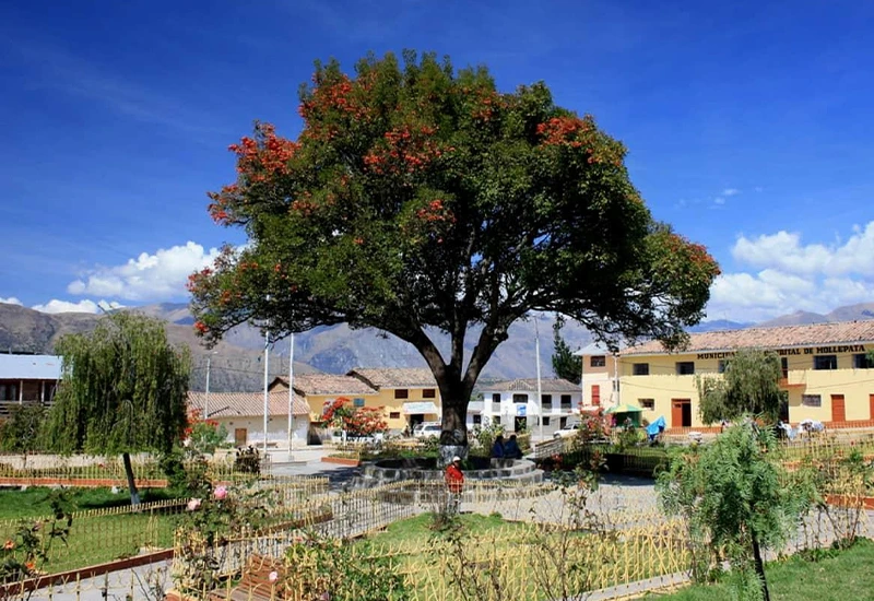 800 x 550 Mollepata en Cusco