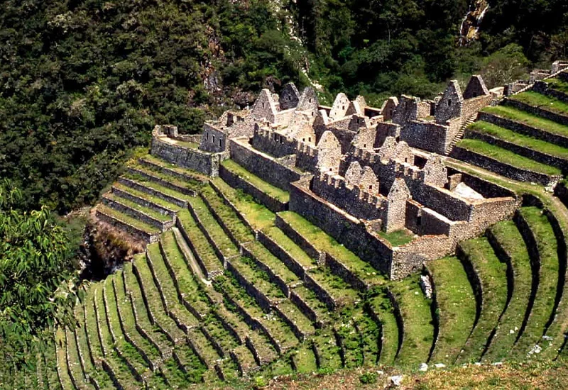 800 x 550 winaywayna