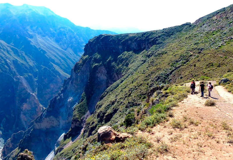 800 x 550 dias en colca 1