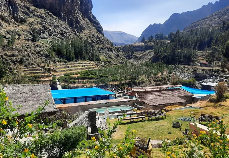 800 x 550 dias en colca 4