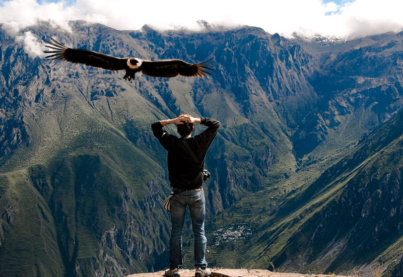 800 x 550 full day colca 1