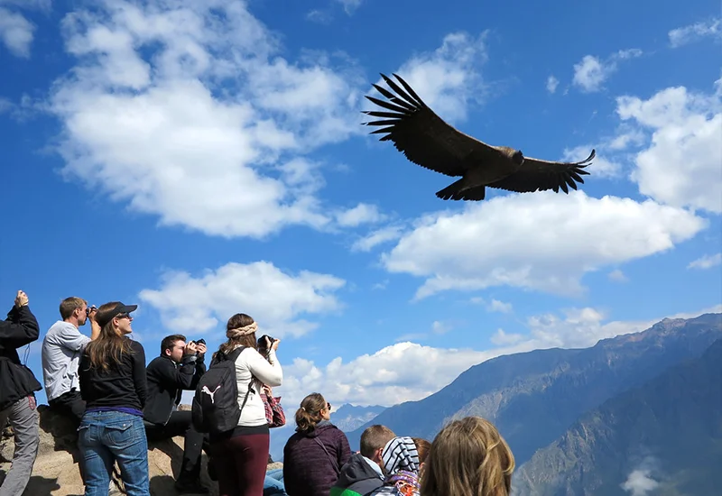 800 x 550 full day colca 2