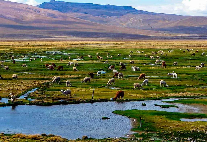 800 x 550 full day colca 3