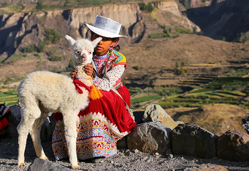 800 x 550 full day colca 4